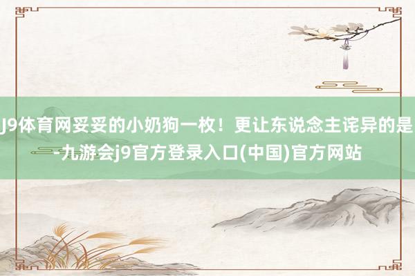 J9体育网妥妥的小奶狗一枚!更让东说念主诧异的是-九游会j9官方登录入口(中国)官方网站